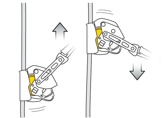 PETZL ASAP Lock Fall Arrester