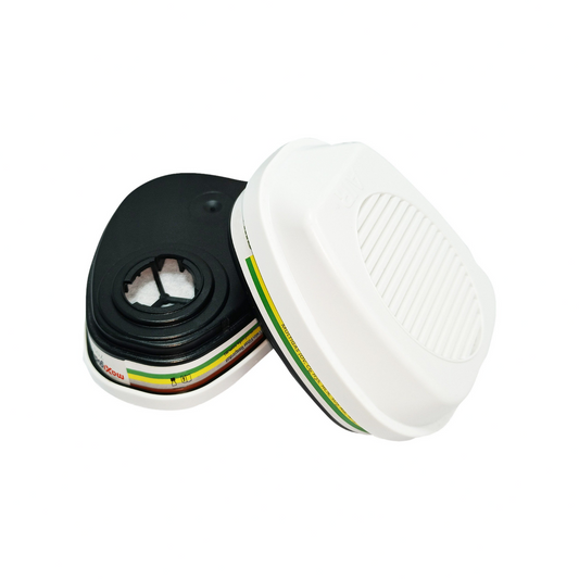 Maxiguard P3 Multigas & Particulate Filter